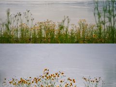 -福建鲤鱼洲酒店