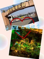 -恐龙探索乐园(磁器口店)