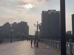 -野狸岛