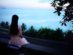 -芽庄喜来登水疗酒店
