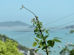 -渔寮风景区