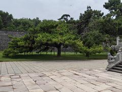 -北陵公园