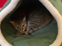 -H立方实景剧情密室(天河旗舰店)