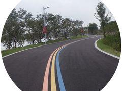 -羊山湖公园