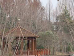 -上海怡沁园度假酒店