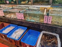 -新金盛·海鲜酒楼(盐田店)