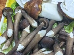 蘑菇-映日农场无花果鸡(滨江东路店)