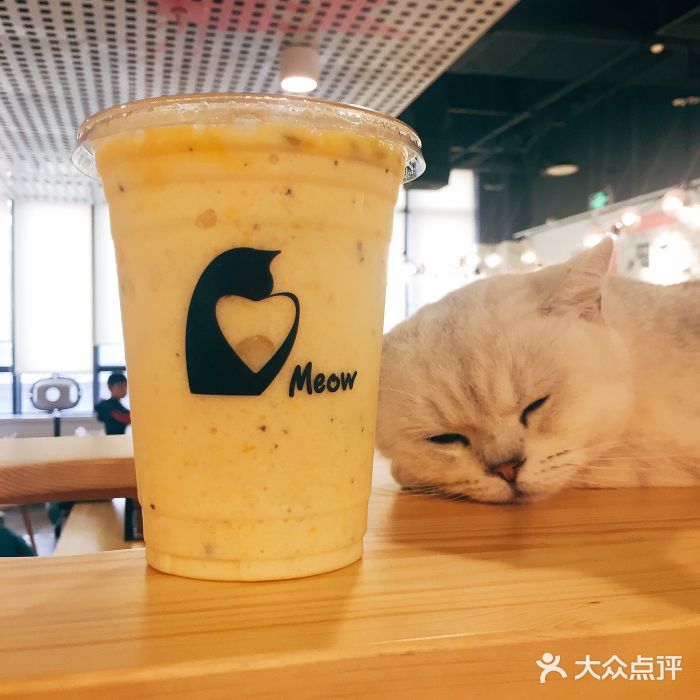 喵匠猫主题咖啡(凯德和平广场店)芒果西番莲喵冰乐图片