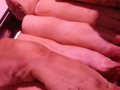 猪蹄-顺鑫石门市场