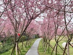 -福建鲤鱼洲酒店