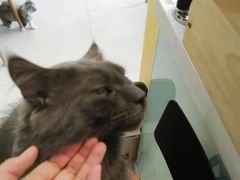 -平行世界·猫咖(首经贸店)