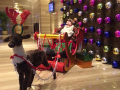 -视界美食自助餐厅·石家庄希尔顿酒店