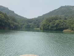 -白马涧龙池景区
