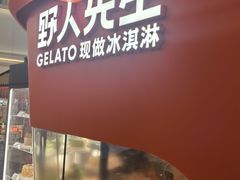-野人先生现做冰淇淋(北京王府井东方新天地店)