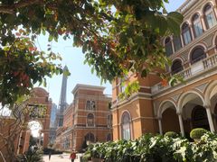 -DFS迪斐世(澳门美高梅店美妆世界)