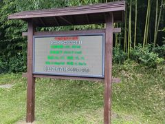 -黄海国家森林公园