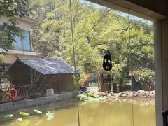 -天怡·鱼工厂(梅溪湖店)