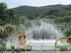 -西双版纳原始森林公园