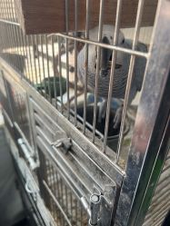 -Oasis Beauty水磨坊科技美肤中心