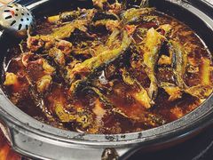 三角枫-金海椒罐罐鲢鱼(东方桂苑店)