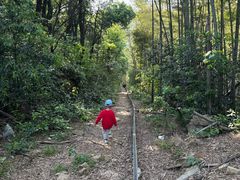 -石燕湖生态旅游景区