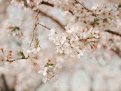 -龙美术馆(西岸馆)
