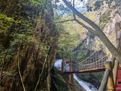 -牛背梁国家森林公园