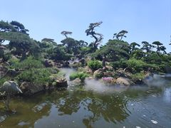 -罗红摄影艺术馆