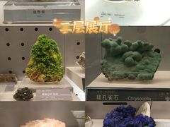 -中国地质博物馆