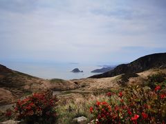 -嵛山岛