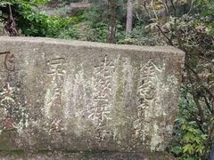 -天柱山风景区