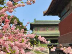 -故宫博物院(故宫)