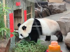-宁波野生动物园