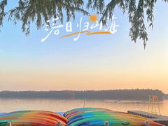 -上海海湾国家森林公园