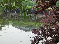 -嘉定紫藤园