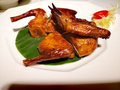 红烧乳鸽-東海海鲜酒家(中信广场店)