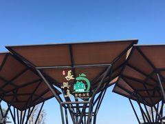 -上海长兴岛郊野公园