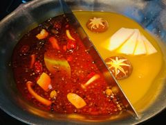 台式麻辣花胶鸡鸳鸯锅-湊湊火锅·茶憩(世博大道店)