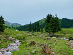-新疆那拉提国家旅游度假区