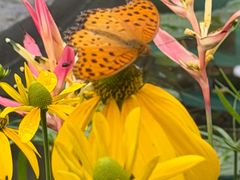 -钱王祠