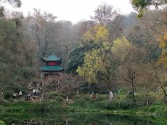 -岳麓山风景名胜区