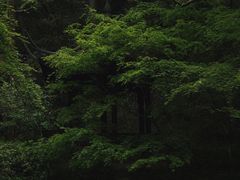 -兰亭风景区
