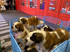 -凯德广场(学府店)