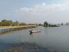 -洱海月湿地公园