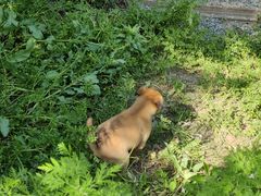 -永定河休闲森林公园