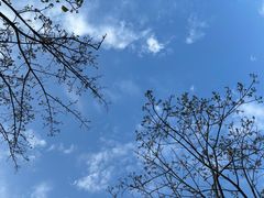 -风云岭森林公园