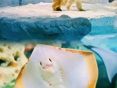 -珠海长隆海洋王国