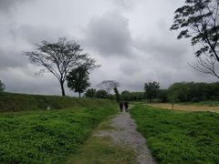 -盘龙城国家考古遗址公园