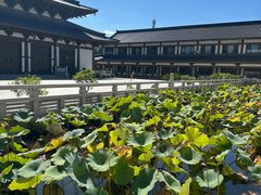 -舍利塔滩地公园-无垢净光舍利塔