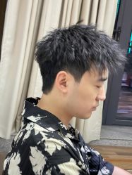 -IDOL-PLUS